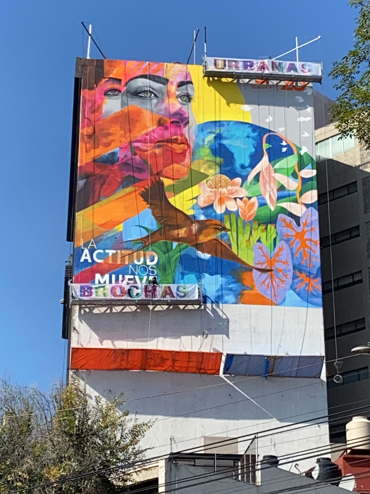 Seat + Guinness Records - Brochas Urbanas